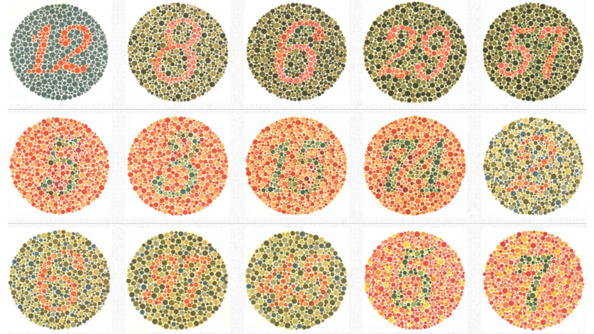 子どもの目は誕生してから成長します